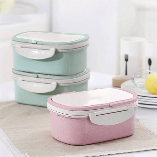 Plastic Lunch Box with White Spoon